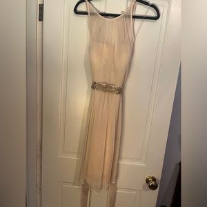Adrianna Papell Women's Cocktail Dress Size 12 Blush Pink Chiffon Fit and Flare